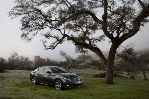 Infiniti M 2011: Para la versión M37 tiene un motor 3.7 litros V6 que genera 330CV, que se asocia a una transmisión automática de siete velocidades que presenta la opción de ser usada manualmente gracias a las levas detrás del volante. Este motor tiene la misma configuración de su hermano el Infiniti G37. Infiniti M 2011: Para la versión M37 tiene un motor 3.7 litros V6 que genera 330CV, que se asocia a una transmisión automática de siete velocidades que presenta la opción de ser usada manualmente gracias a las levas detrás del volante. Este motor tiene la misma configuración de su hermano el Infiniti G37.