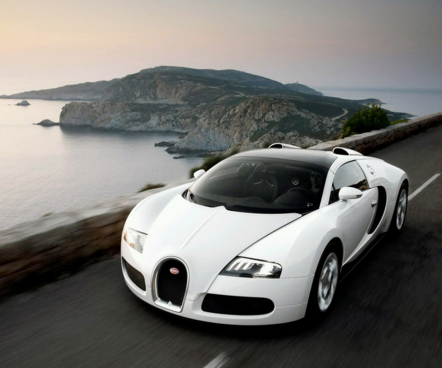 My Image 10