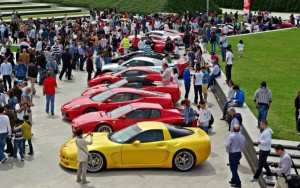 Imágenes de autos de exhibición (7)